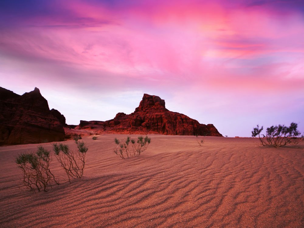 Gobi Desert