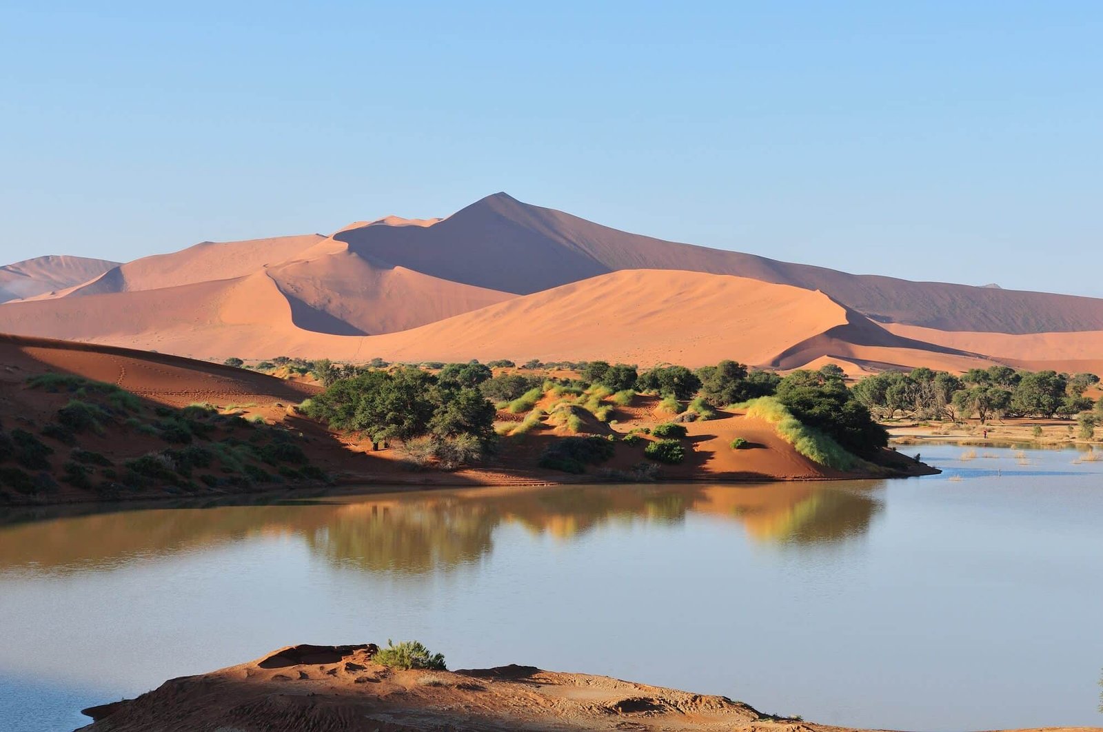 Gobi Desert